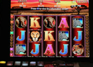 鲸鱼体育正式版