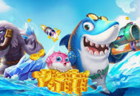 鲸鱼体育免费版