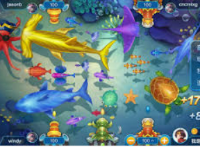 鲸鱼体育电脑免费版