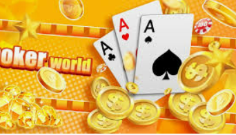 鲸鱼体育最新版