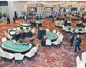 鲸鱼体育电脑免费版