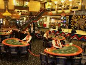 鲸鱼体育2024最新版