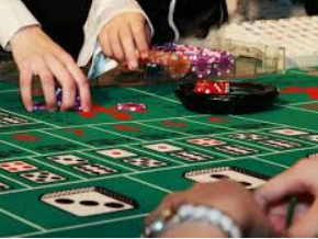 鲸鱼体育电脑免费版